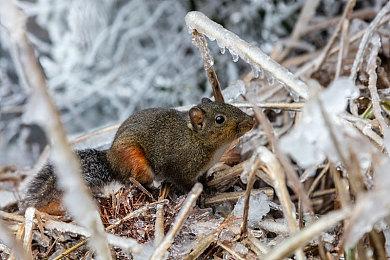 微软：Xbox 360商城将于2024年7月底关闭